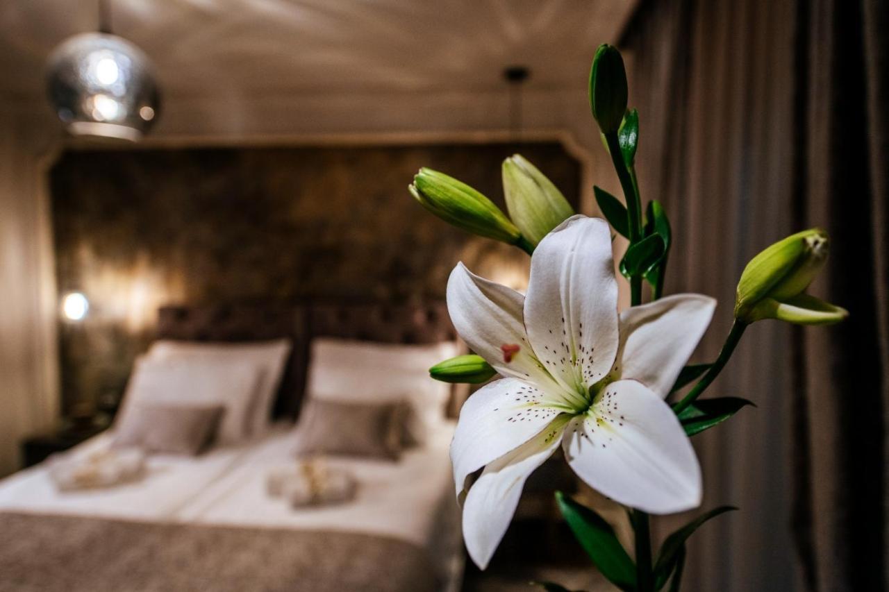 Luxury Rooms Vindemiae Zadar Exterior photo